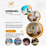 TẾT NÀY, HÃY ĐỂ ELEPHANTS HOTEL CHĂM SÓC CẢ GIA ĐÌNH BẠN