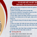🎂 Ưu Đãi Đặc Biệt Khi Đặt Tiệc Sinh Nhật Tại Elephants Hotel!